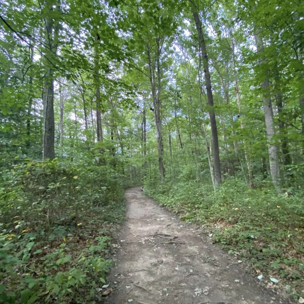 images of long point trail