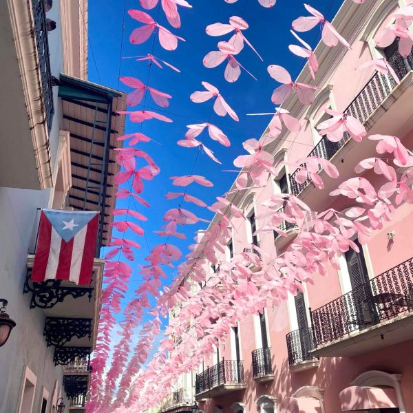 umbrella street